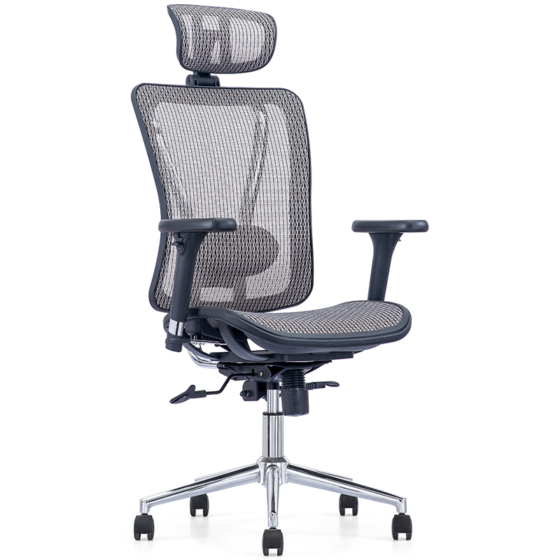 Zhixing Kami High Back Desk Chair with Adjustable Lumbar Support