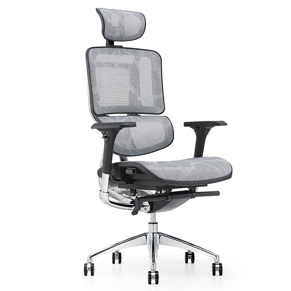 Zhixing Alpha Ergonomic Office Chair with Adaptive Lumbar Support