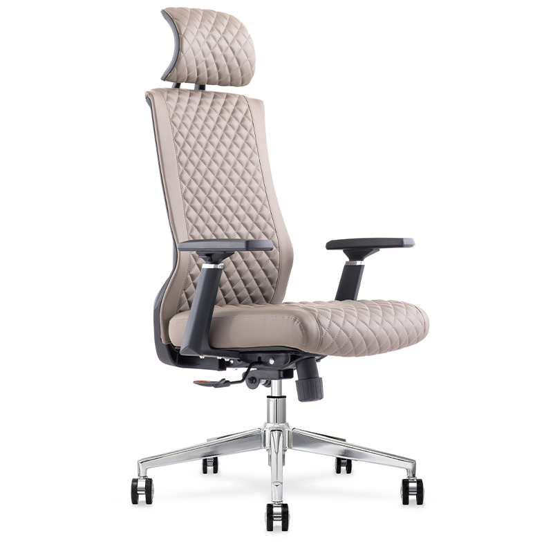 Zhixing Wino Computer Desk Chair with Lumbar Support